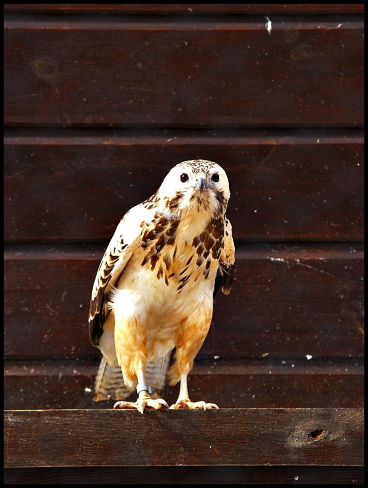 Bialystok_Easter_2013_1_web