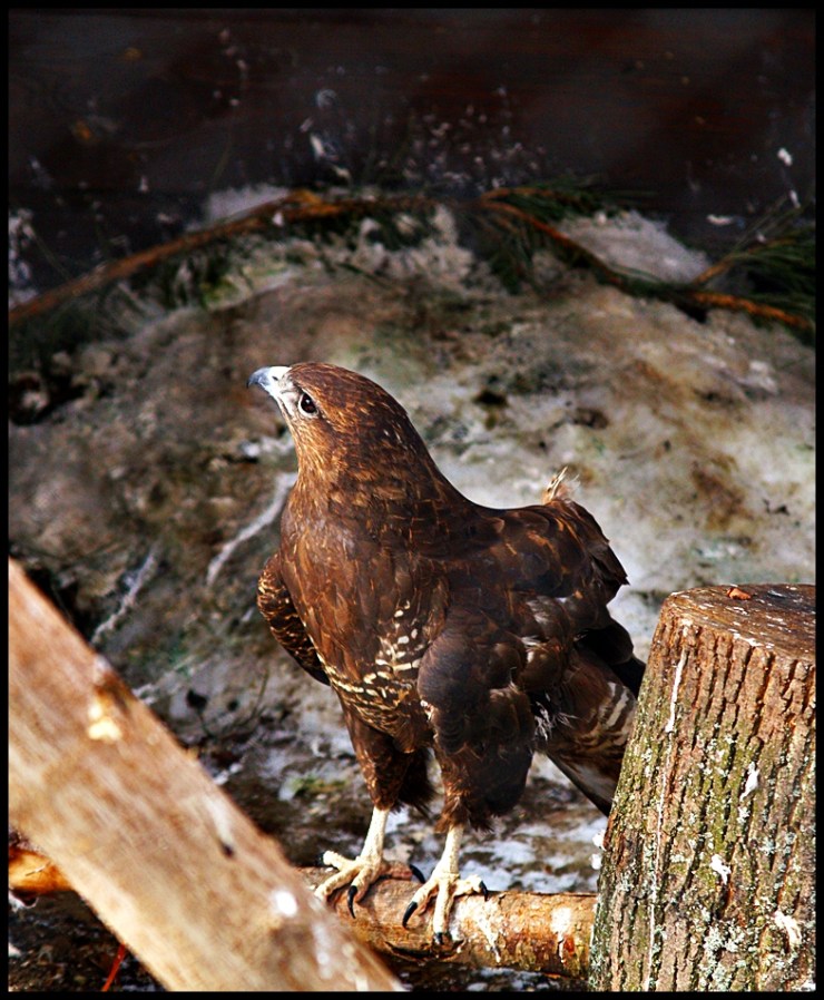 Bialystok_Easter_2013_2_web