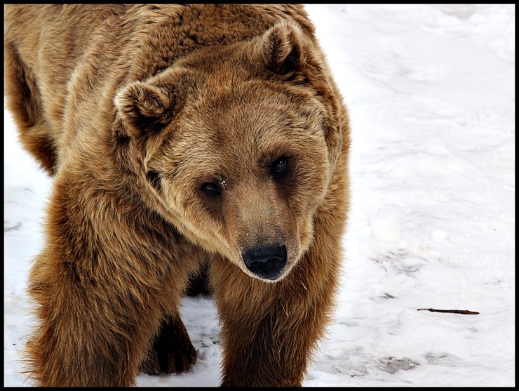 Bialystok_Easter_2013_4_web