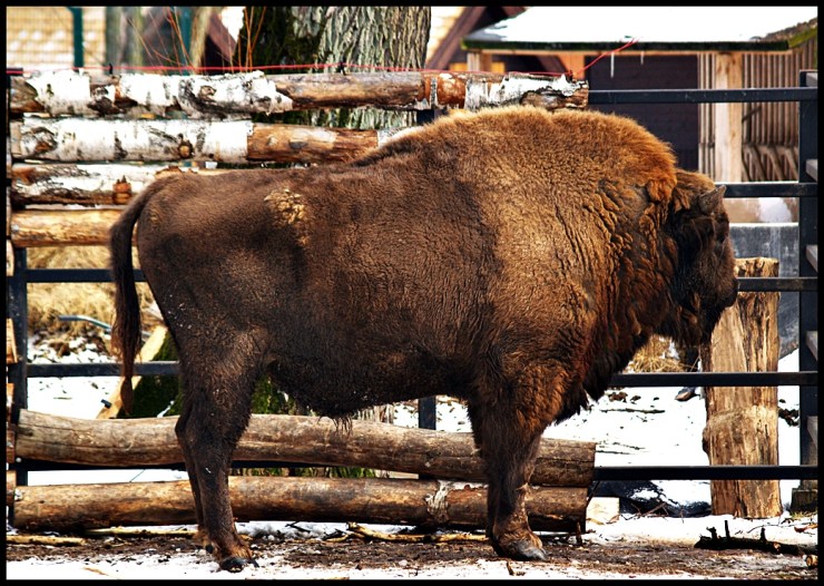 Bialystok_Easter_2013_6_web