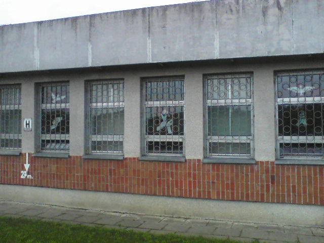 944431_142302589297847_998812805_n