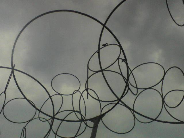 539160_169015713293201_1477705373_n